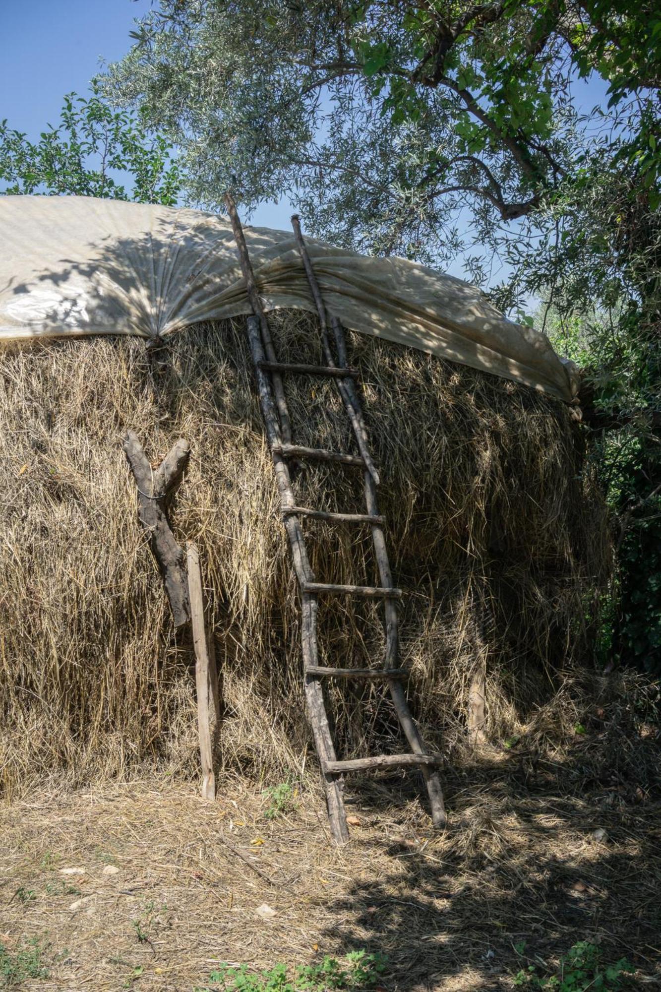 The House In The Village Pellumbas Luaran gambar